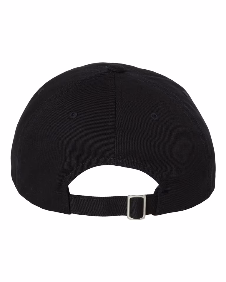Classic Ecowash Dad Cap in Black — back