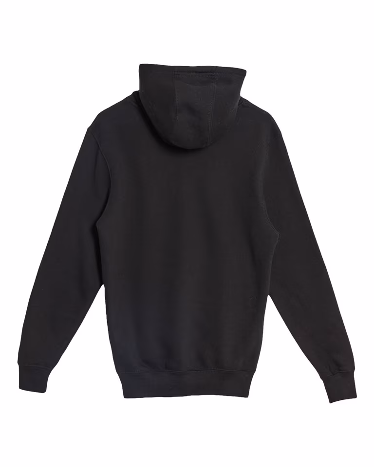 Unisex Premium Pullover Hoodie in Black — back
